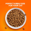 PROACTIVE HEALTH Adult Indoor Weight Control & Hairball Care Dry Cat Food with Chicken & Turkey Cat Kibble, 22 Lb. Bag