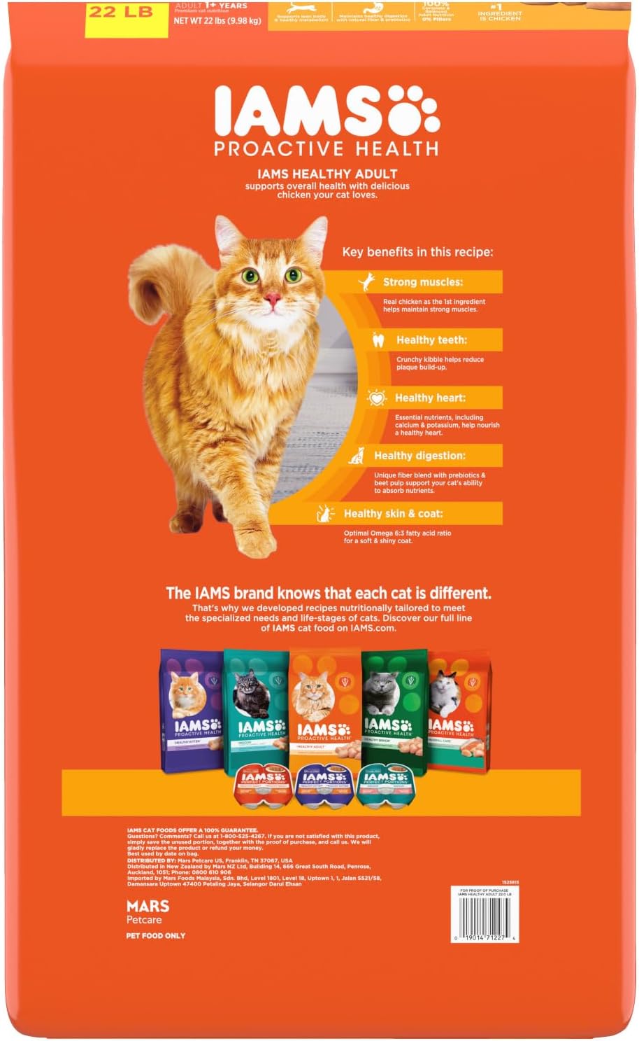 Proactive Health Healthy Adult Dry Cat Food with Chicken, 22 Lb. Bag