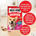 Mini'S Flavor Snacks Dog Treats, 36 Ounce