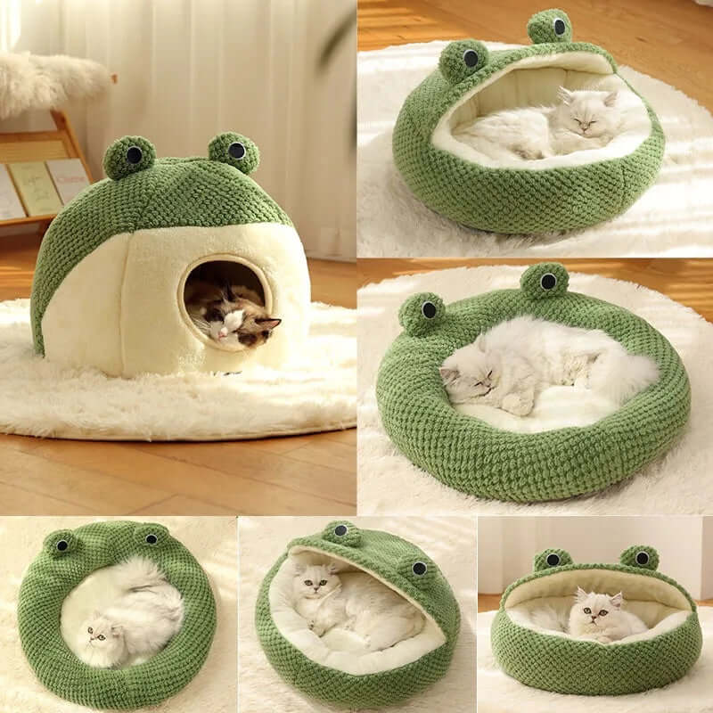 Pet House Full Package Little Frog Series