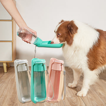 Outdoor Folding Dog Water Bottle 550ml